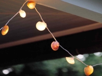 Martha Stewart Seashell Light Garland